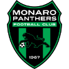 莫纳洛黑豹  logo