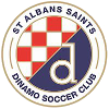 圣奥尔本斯圣特斯 logo