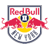 纽约红牛后备队 logo