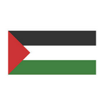 巴勒斯坦U19  logo