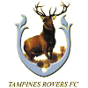 淡宾尼斯队  logo