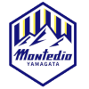 山形山神  logo