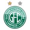 巴西瓜拉尼  logo