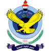巴格达空军  logo