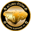 小象FC logo