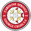 乔治十字  logo