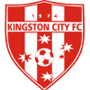 金士顿城  logo