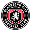 黑镇市足球俱乐部  logo