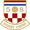 悉尼联盟 logo