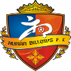 湖南湘涛  logo