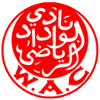 外傣 外傣