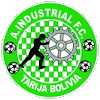 工业FC