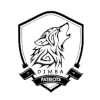 丁巴爱国者 丁巴爱国者