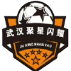 武汉聚星闪耀 武汉聚星闪耀
